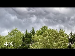 Wind Sound Effect and Stock Video | Trees Blowing in Strong Winds on Clear Sunny Day and Stormy Day