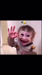 Добро пожаловать в мой мир | lifestyle 🚀 on Instagram: "#motivation #asmr #jokes #mood #life #отношения #жизнь #любовь #смешно #юмор #приколы #жена"