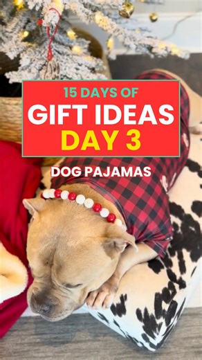 Day 3: Holiday Dog Pajamas 🐶🎄 Yes! It’s his own face in pajamas, if this isnt the perfect gift for a pet lover, i don’t know what it is 🎁☃️ #doglover #dogpjs #dogclothing #giftideas | Cuddle Clones