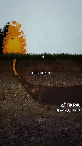 Our mission is to help people improve their lives through business and educational content. ⠀ Join us on our journey