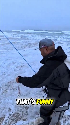 3K views · 43 reactions | You can't get a perch to eat it any better! #surfperch #barredsurfperch #barredsurfperchfishing #californiasurffishing #CaliforniaSurfFishing | Hook2Cook | Facebook