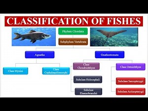 Classification of Fishes for BS, BSc, MSc ( Miller & Harley)