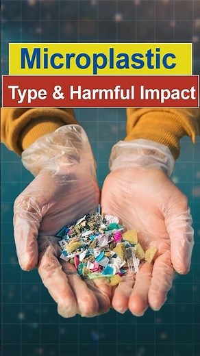 Understanding Microplastics: Types, Sources, and Impacts #microp #plasticpollution