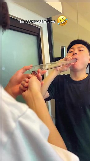 This cockroach is alive#funnyvideos