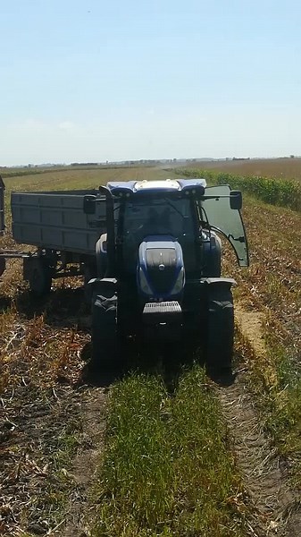 kaldi.laci (@kaldi.laci) videója, benne: eredeti hang - ✨Anna✨