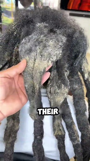 What Happens When Dreadlocks Haven’t Been Washed for Months?
