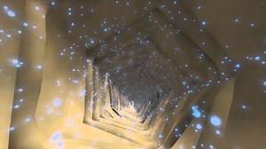 How Do Trees Transport Water From Roots to Leaves?