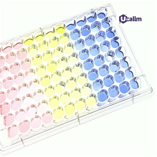 Studying Barrier Functions Using Transwell Inserts: A Focused Guide
