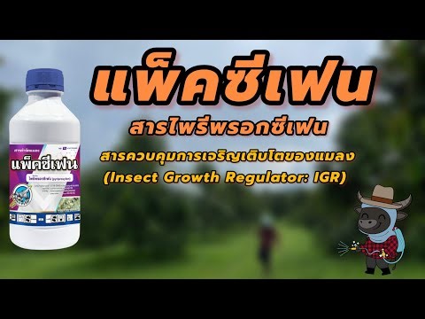 In-depth look at Pacifen (pyreproxifen)