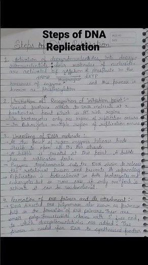 Steps of DNA Replication including enzyme activity