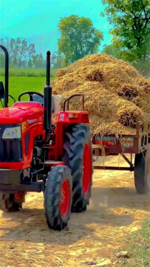 गेहूं का भूसा ले जाते हुए महिंद्रा ट्रैक्टर 😈 #automobile #jcbbaba #tractor #farming
