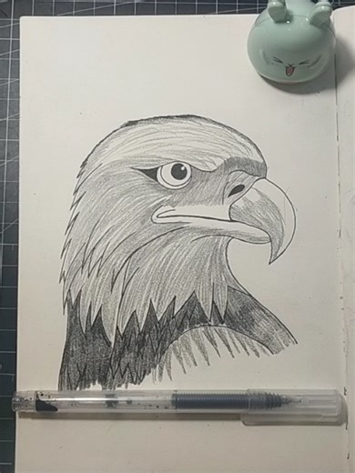 drawing an eagle #elang #drawing