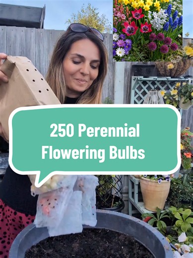250 perennial spring and summer flowering bulbs #springbulbs #flowergarden #gardening #TiktokMadeMeBuyIt