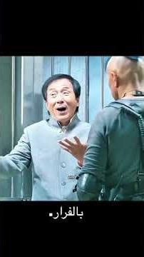 Jackie Chan vs. The Most Dangerous Gang to Save a Rare Panda! 🐼🔥 | Panda Plan 2024 Movie Recap