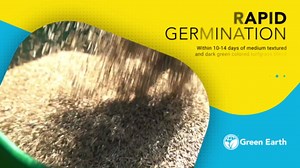 Barenbrug Green Earth Shade Savant Professional Grass Seed Mix, 20 lbs.