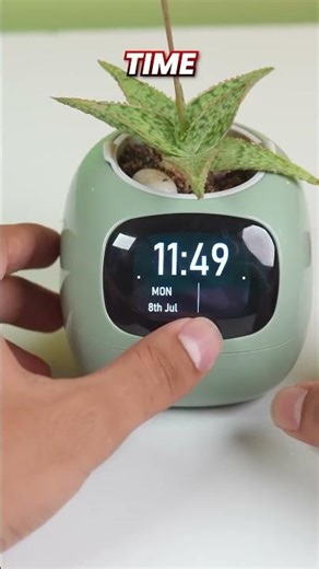 world s most expensive smart flower pot