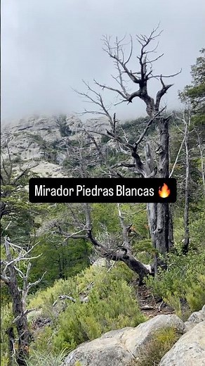 Piedras Blancas – Ruta escondida en Vilches Alto
