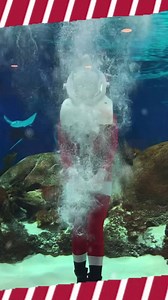 136 reactions · 19 shares | Fall in la la la love with the holidays at OdySea Aquarium! Interact with AZ's only Underwater Santa as you create new family memories with over 6,000 animals during this signature holiday event! | OdySea Aquarium | Facebook
