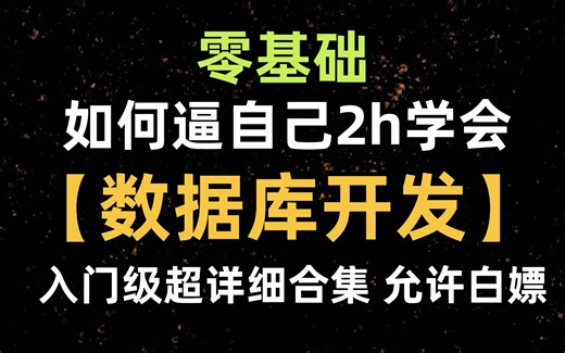 【2025数据库开发】全B站最用心的Python（数据库开）教程，2h入门到项目实战，学完即可做项目，少走99%的弯路，学数据库开发看这套就够了！