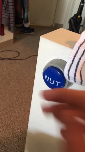 Nut Button = Breakfast Time #nutbutton #catsoftikok #ferda