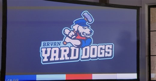 Bryan baseball franchise reveals team name, logo and manager for inaugural season