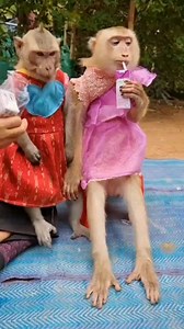 YaYa loves Theany | YaYa Note