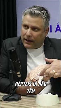 Entendendo o Cérebro Trino: A Hierarquia das Emoções #shorts