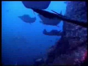 TANGO AZUL. - INSTRUMENTAL.