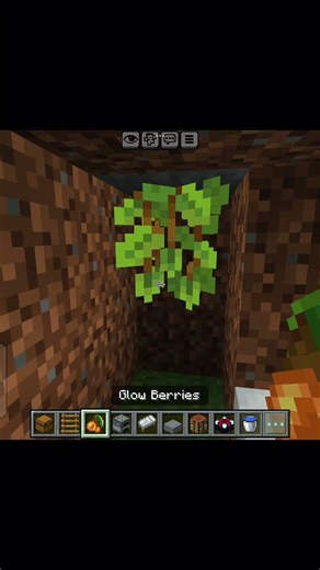 Minecraft started base