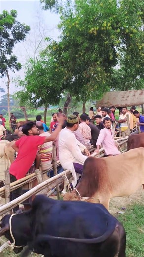 How can you slap me?