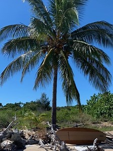 Temple Island — Private Islands Online Australia