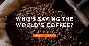 Sustainable Coffee Challenge | Conservation International