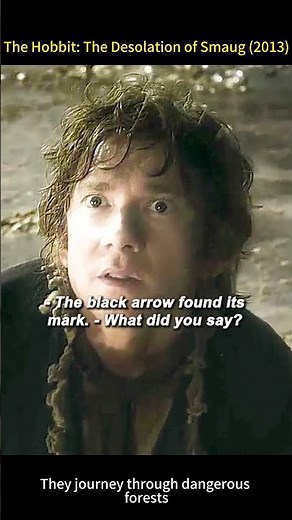 The Hobbit: The Desolation of Smaug (2013) #movie