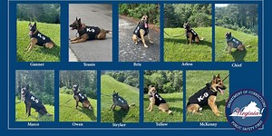 Vested Interest fetches protective vests for K9s