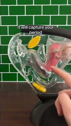 How to Use a Menstrual Disc featuring the Viv Disc