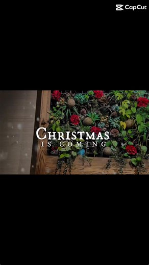 ✨ The Holidays Have Arrived at Legal Assets! ✨ Downtown Easton is glowing — and so are we! Our Christmas decorations are up, the fire pits are warm, and the season’s spirit is in full swing. 🎄❄️ Whether you’re looking for a cozy night out, a festive cocktail, or the perfect place to host your family gathering, office party, or holiday celebration, Legal Assets is ready to make your season merry and memorable. 🎄 Plan Your Holiday Party With Us! From intimate dinners to larger group events, we’l