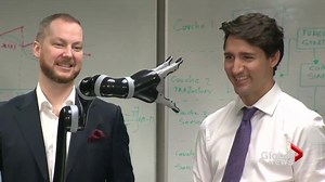 Will artificial intelligence replace human labour?