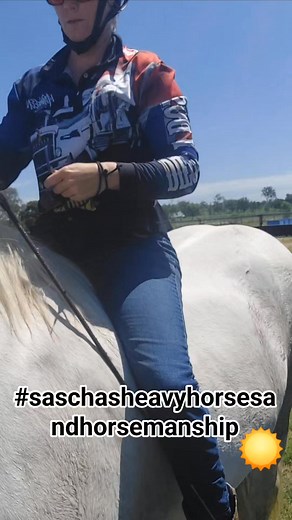 1K views · 37 reactions | Practising our bridleless riding before the day gets too hot. Monty is rather fantastic #saschasheavyhorsesandhorsemanship #percheron | Sascha's Heavy Horses and Horsemanship | Facebook