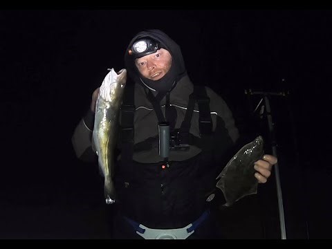 How to catch cod from the shore