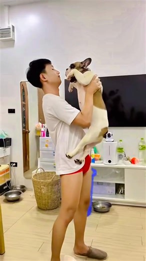 The red dog is sooo cute. | Boyfriendtv.com