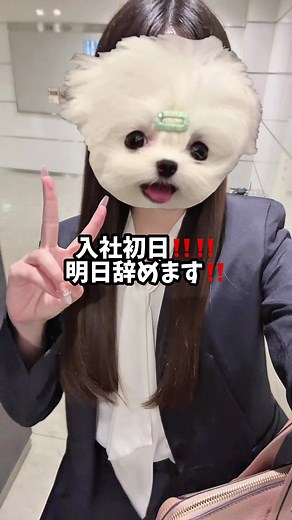 入社初日から退社した新卒の真実