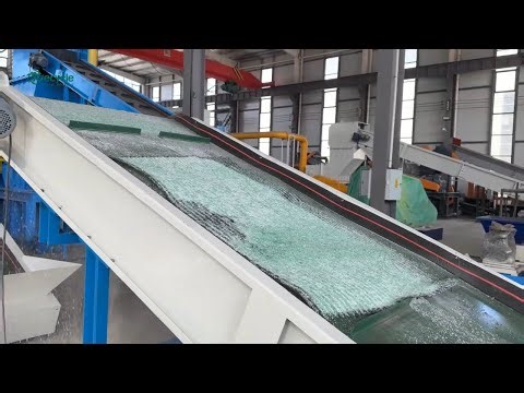 Auto Windshield Recycling Process | PVB Separation & Glass Color Sorter