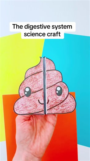 The digestive system with a fun twist 💩😝 #scienceforkids #teachertok #kidscraftideas #teachertiktok