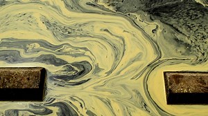 The annual Pollening is here, NC. Here’s how to cope and how to get allergy relief