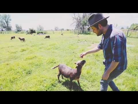 Interview: Gregory Alan Isakov - Singer /Songwriter
