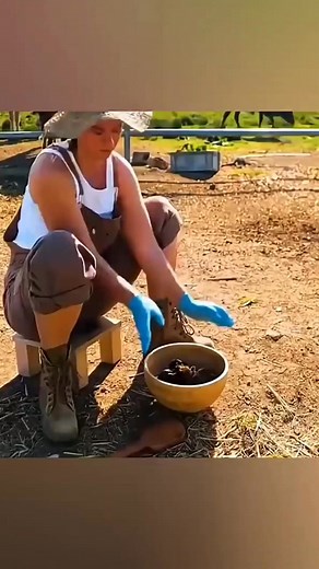 15K views · 96 reactions | Cow poop to paper #highlights #fypシ゚viralシ #followerseveryone | Ur Scene | Facebook