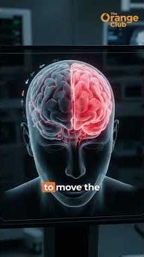 How does a stroke start inside the brain?