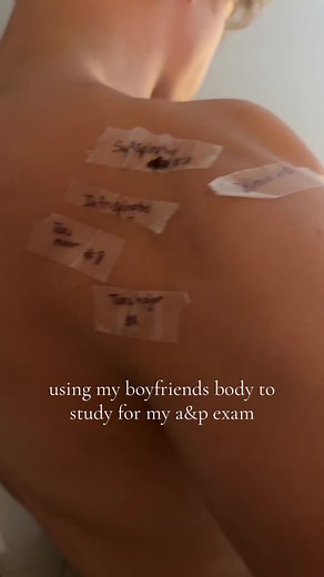 Studying Muscular System Anatomy for College Exam Using Boyfriend's Body