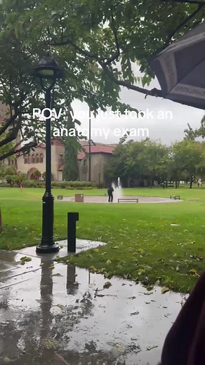 Anatomy Exam Struggles at SJSU