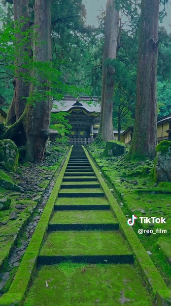 日本の美しい場所まとめ：行きたい県はどこ？